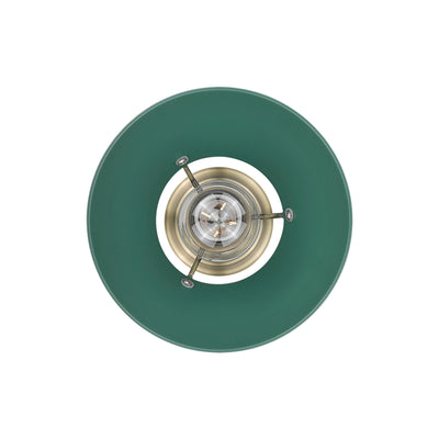 Yep by Golden Lighting Orwell 1-light 8in Pendant in Aged Brass and Pine Green shade - - Golden Lighting