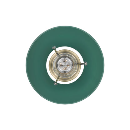 Yep by Golden Lighting Orwell 1-light 8in Pendant in Aged Brass and Pine Green shade - - Golden Lighting