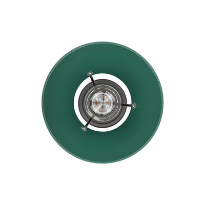 Yep by Golden Lighting Orwell 1-light 8in Pendant in Matte Black and Pine Green shade - - Golden Lighting