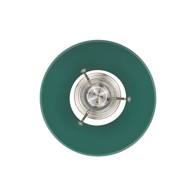 Yep by Golden Lighting Orwell 1-light 8in Pendant in Pewter and Pine Green shade - - Golden Lighting
