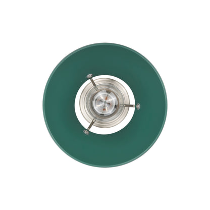 Yep by Golden Lighting Orwell 1-light 8in Pendant in Pewter and Pine Green shade - - Golden Lighting