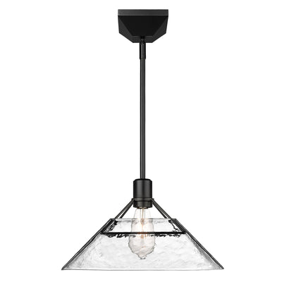 Golden Lighting Kepler 1-light Pendant in Matte Black - - Golden Lighting
