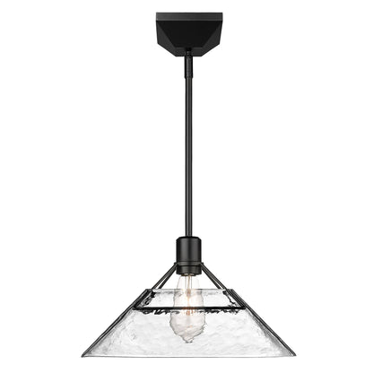 Golden Lighting Kepler 1-light Pendant in Matte Black - - Golden Lighting
