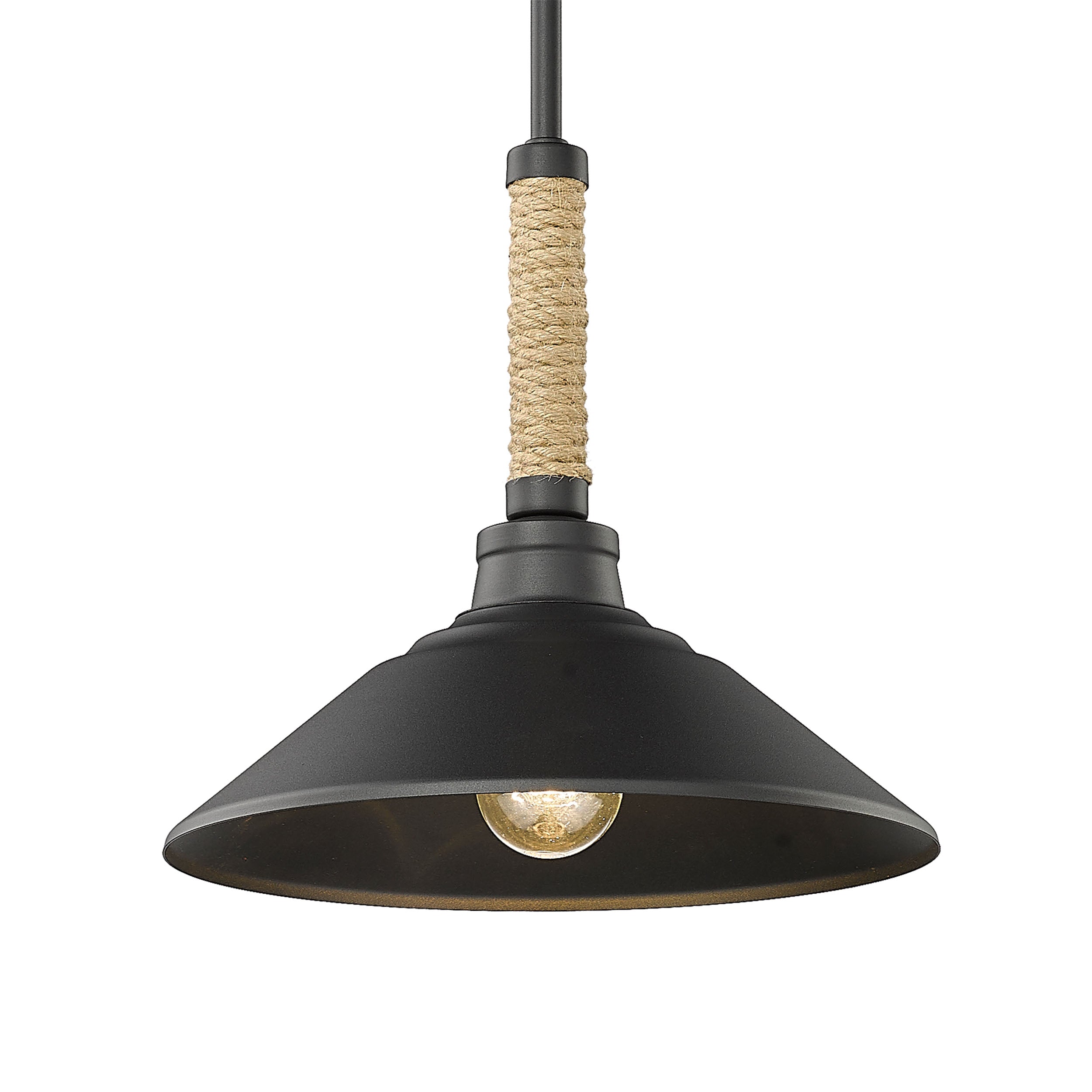 Golden Lighting Journey 1-light Pendant in Natural Black