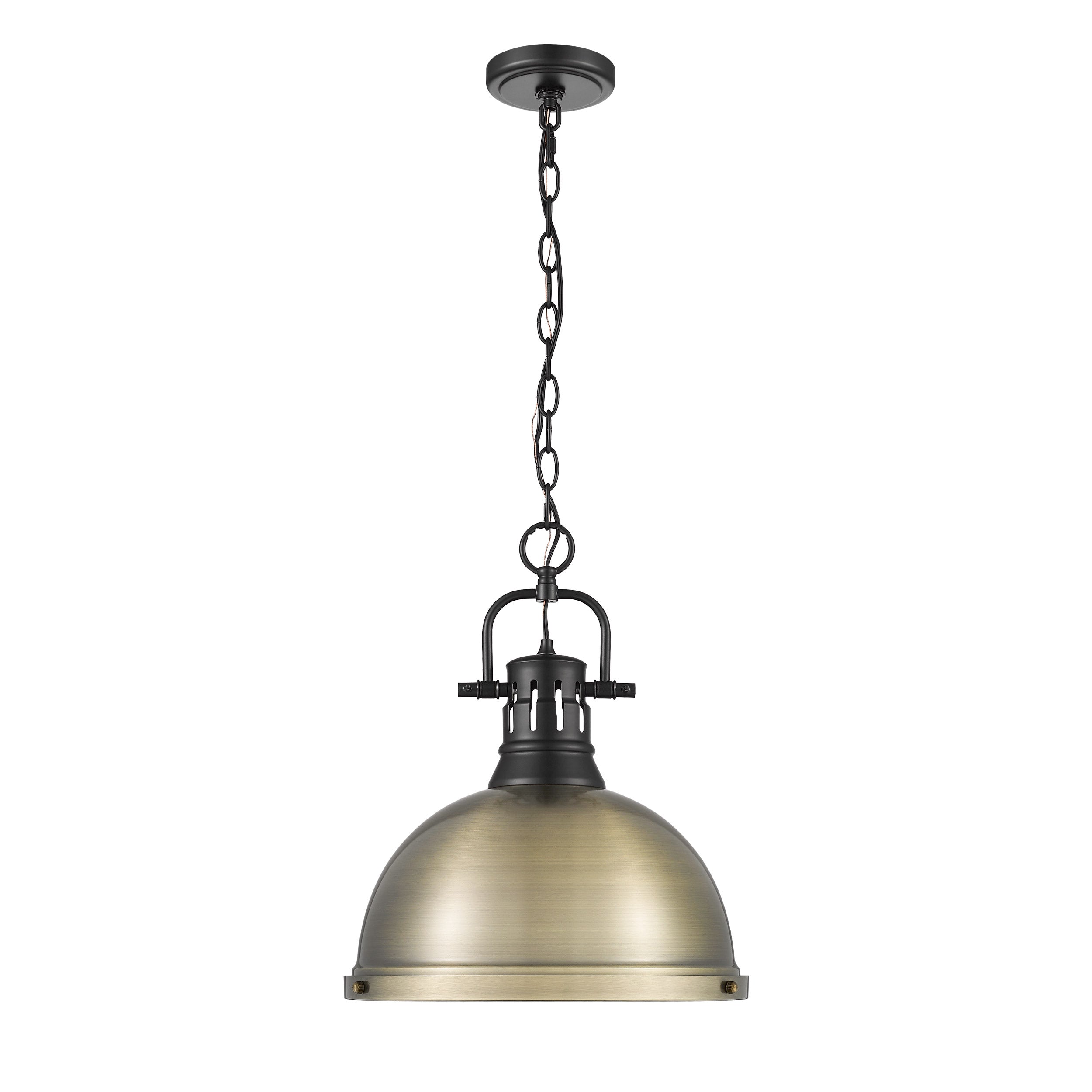 Yep by Golden Lighting Duncan 1-light 14in Chain Hung Pendant in Matte Black and Aged Brass shade - - Golden Lighting
