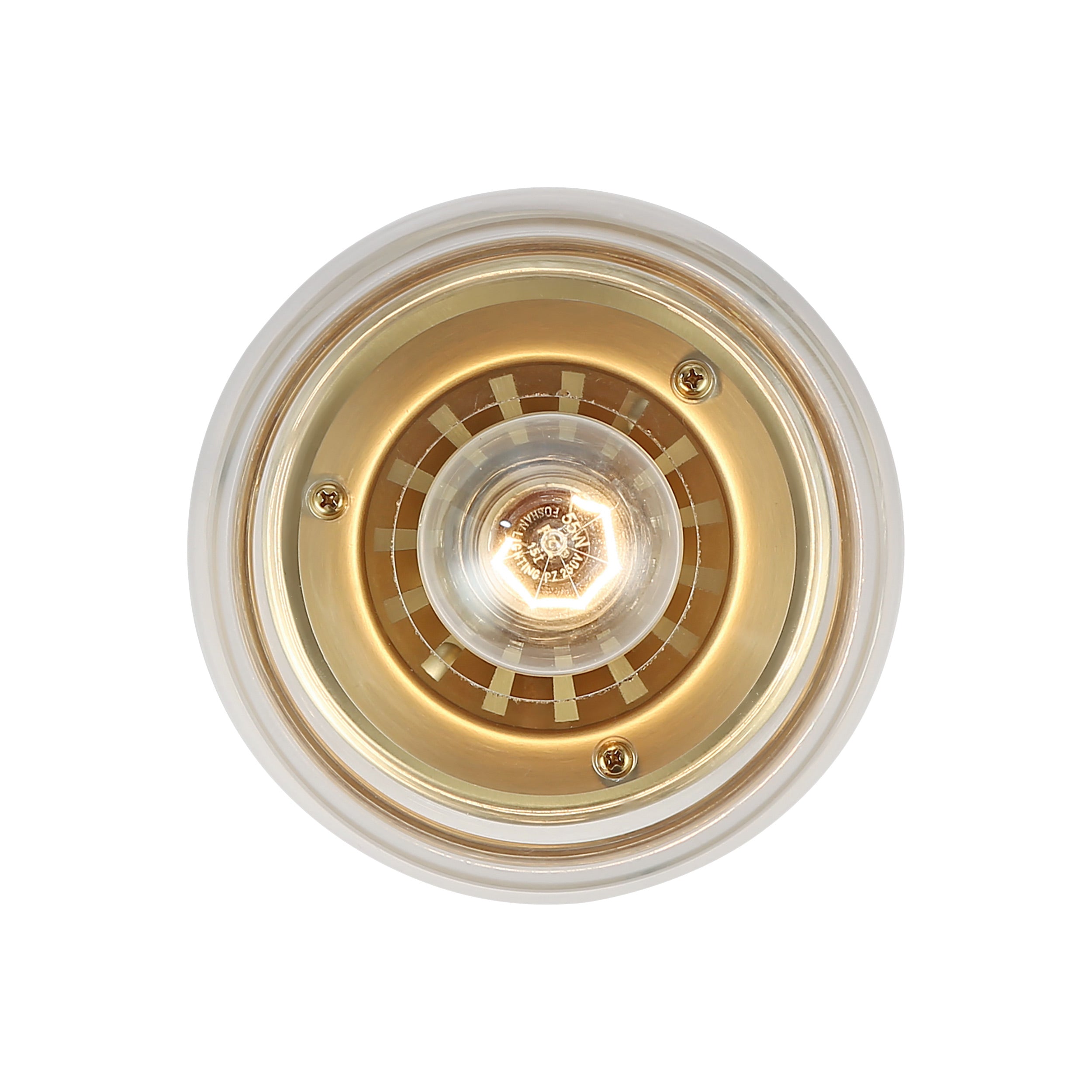 Daphne 1-light Semi-Flush Mount in Brushed Champagne Brass