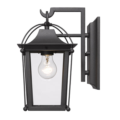 Brigham 1-light Outdoor Wall in Natural Black