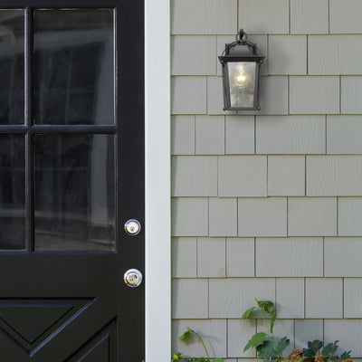 Brigham 1-light Outdoor Wall in Natural Black