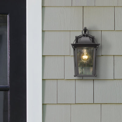 Brigham 1-light Outdoor Wall in Natural Black