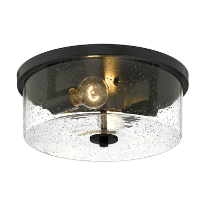 Rayne 2-light Flush Mount in Matte Black