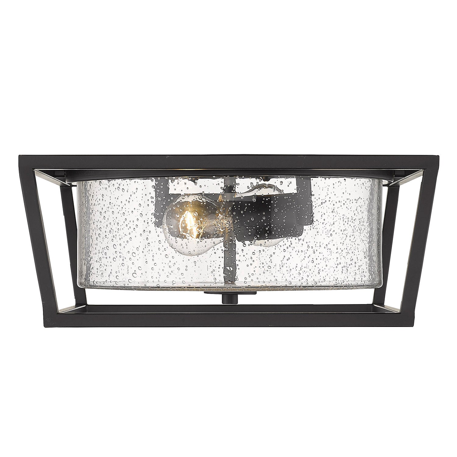Golden Lighting Mercer 2-light Flush Mount in Matte Black - - Golden Lighting