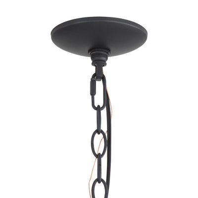Bloem 5-light Pendant in Natural Black, canopy and backplate view - Golden Lighting
