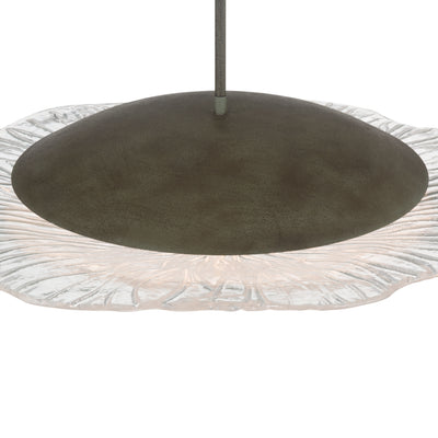 Golden Lighting Coral Bloom Integrated LED 31in Pendant in Black Slate with Pressed Clear Glass - - Golden Lighting