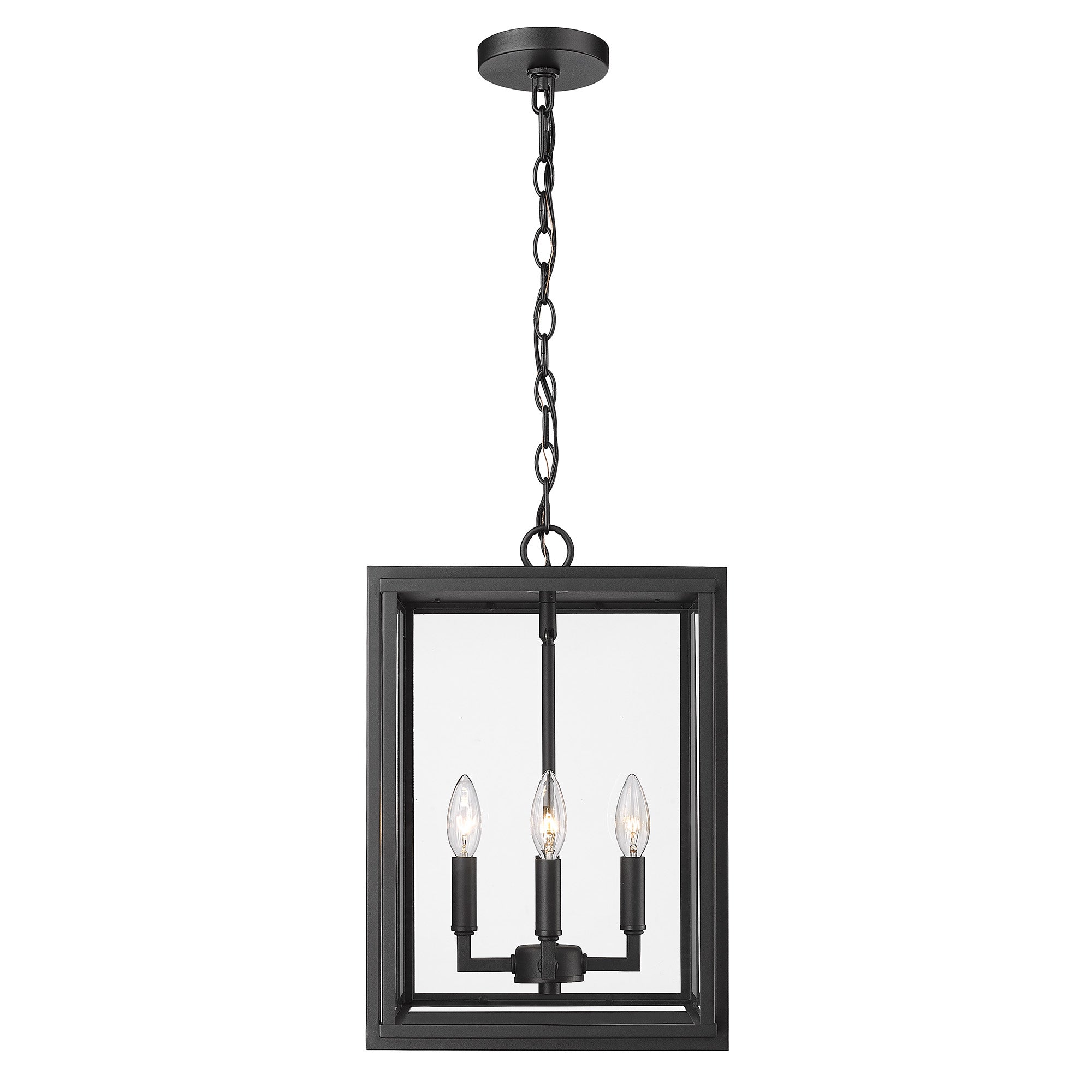 Tribeca Outdoor 4 Light Pendant in Natural Black - Natural Black / Clear Glass / Clear - Golden Lighting