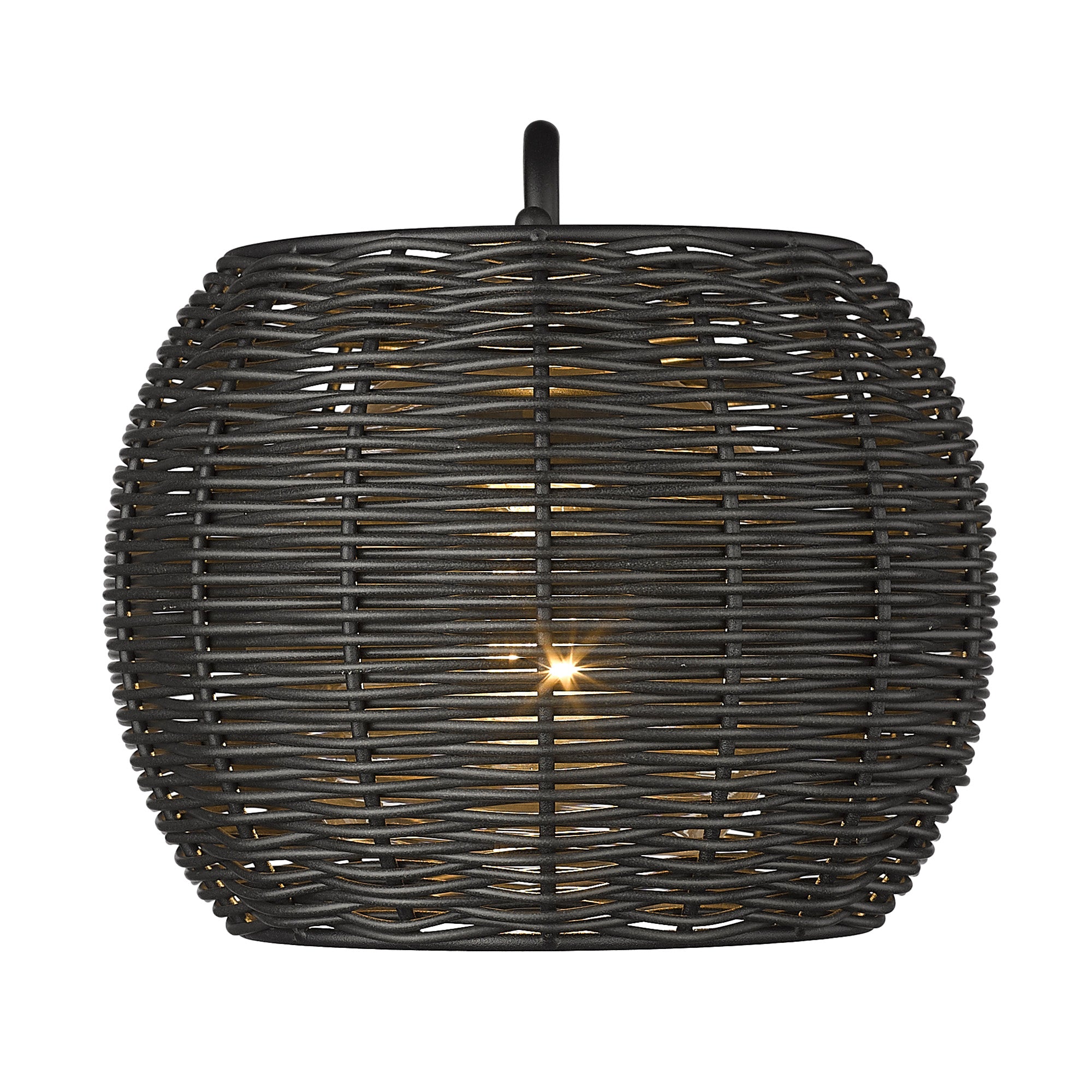Golden Lighting Vail 1-light Outdoor Wall in Natural Black