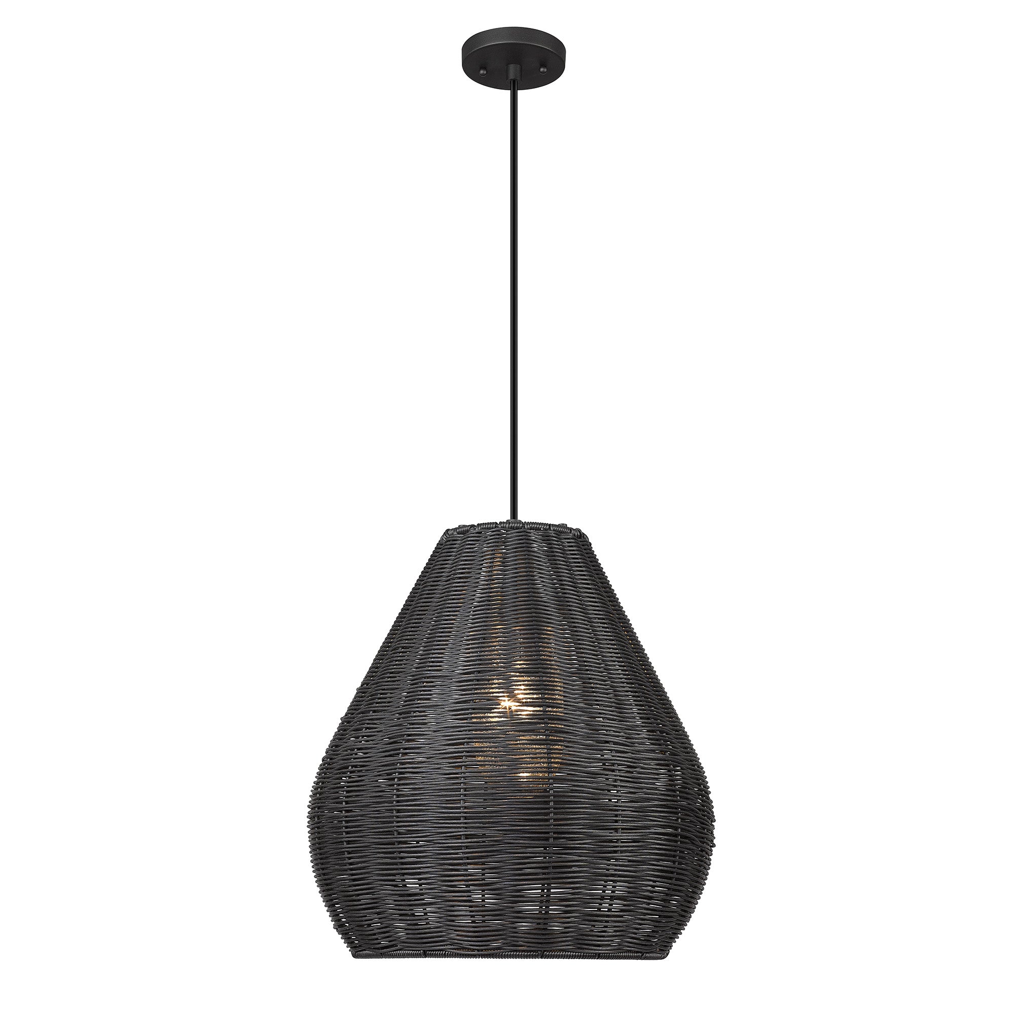 Melany 1-light Outdoor Pendant in Natural Black
