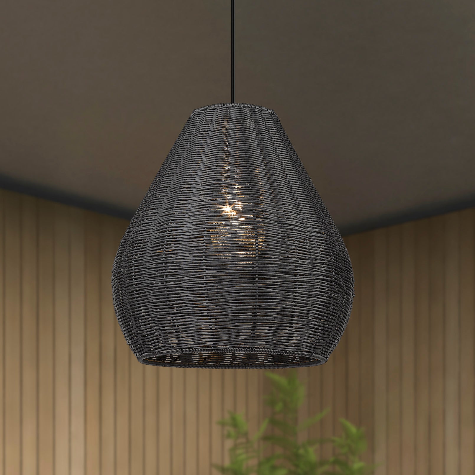 Melany 1-light Outdoor Pendant in Natural Black