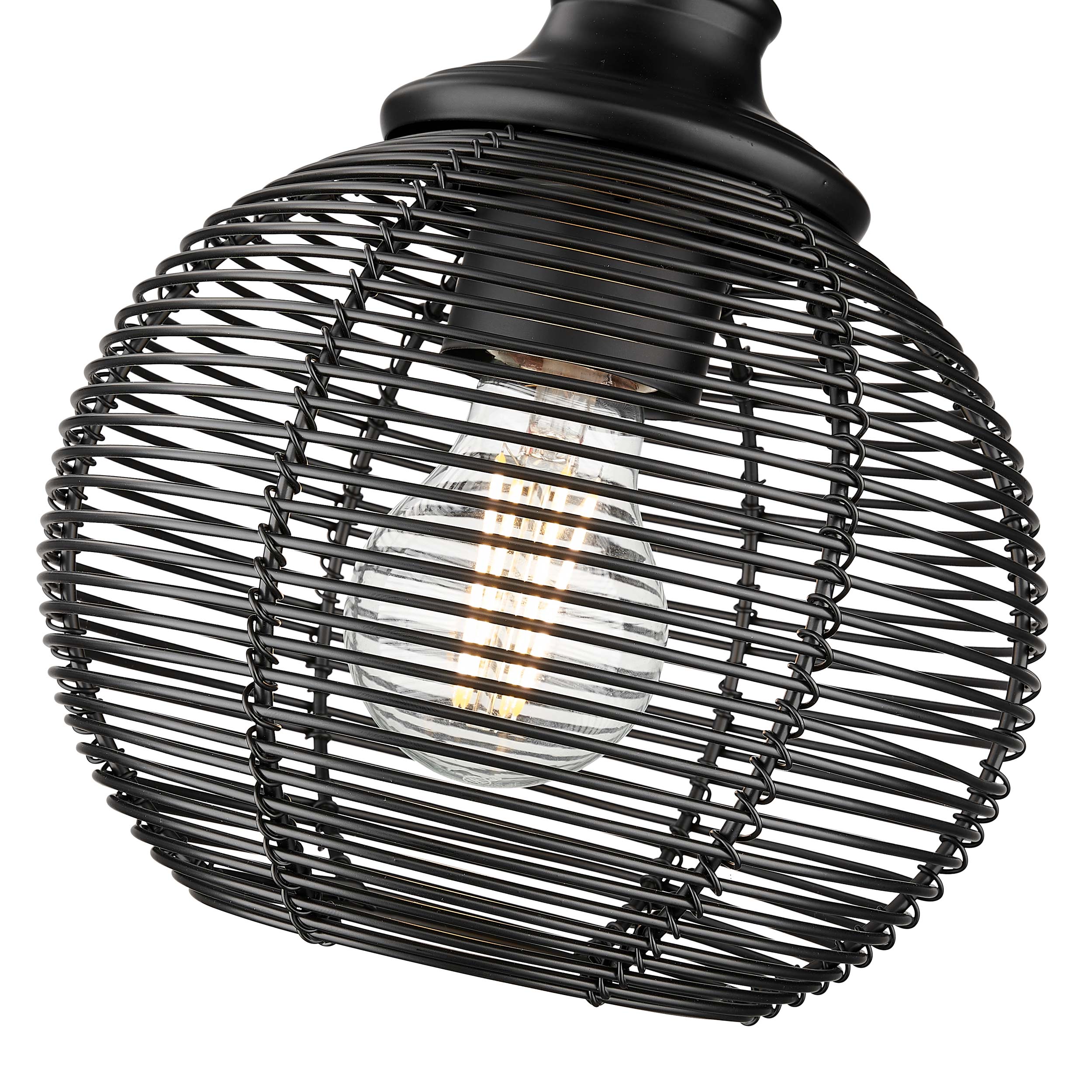Golden Lighting Calypso 1-light Wall Sconce in Matte Black - - Golden Lighting