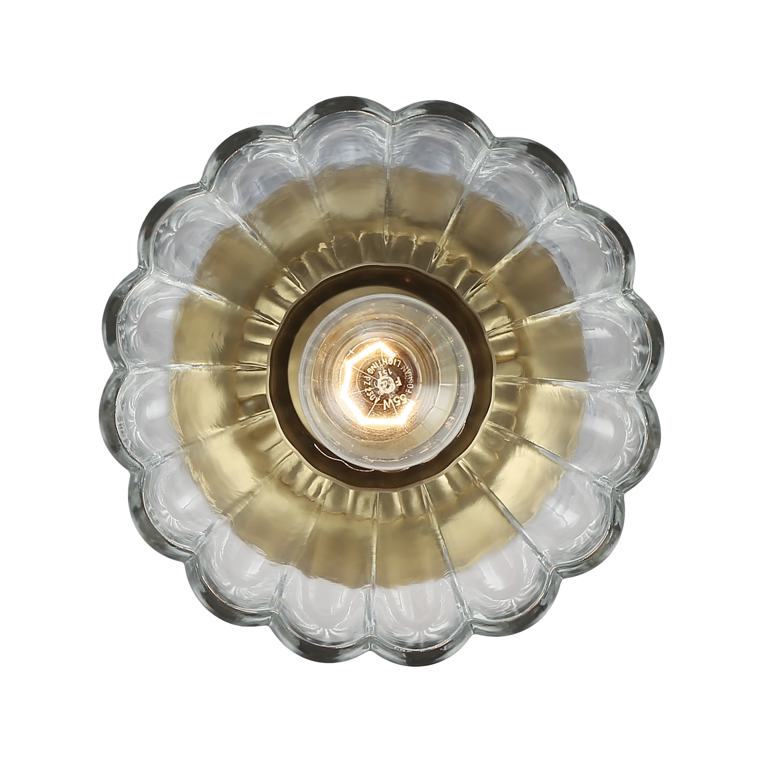 Golden Lighting Audra 1-light 7in Semi-Flush Mount in Brushed Champagne Brass - - Golden Lighting