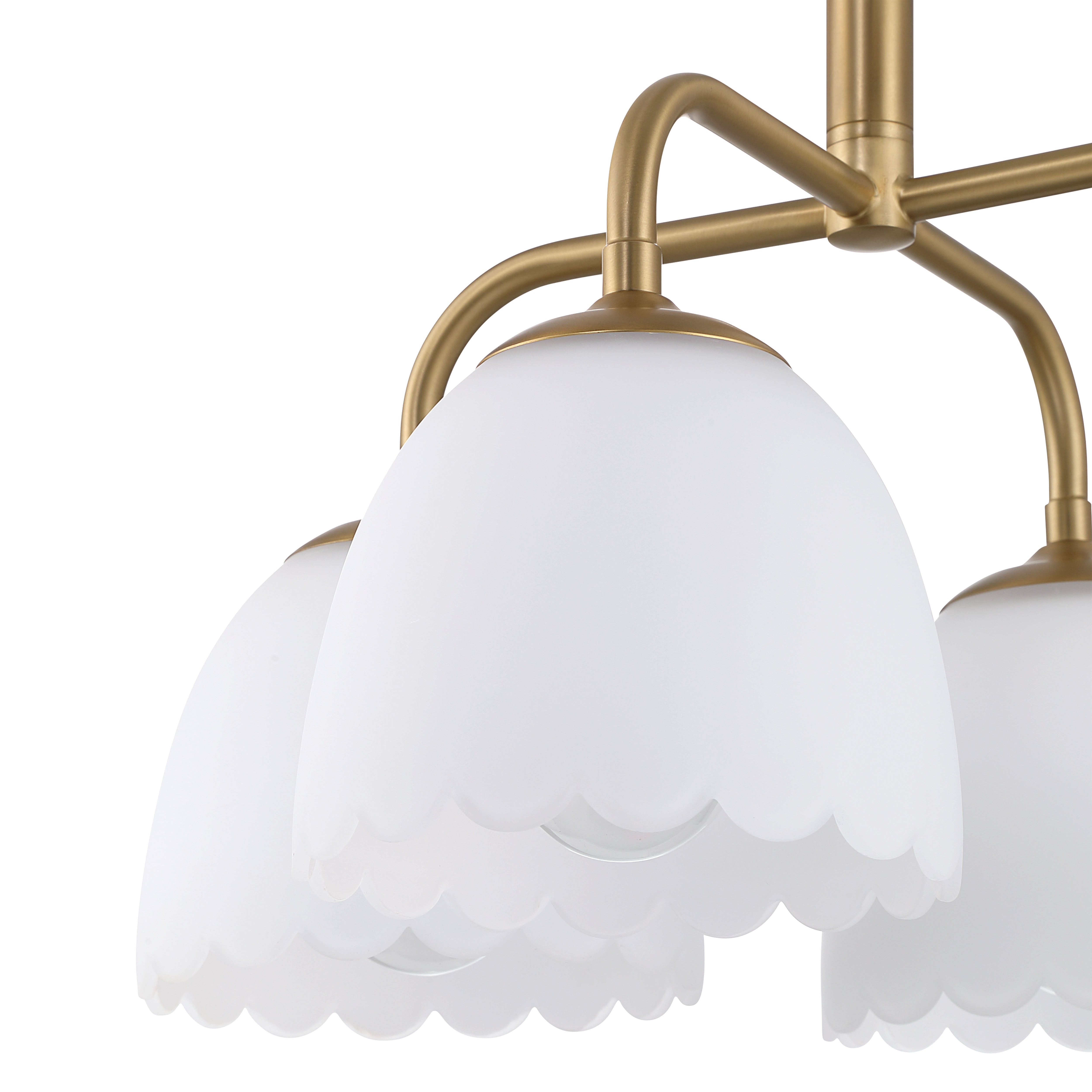 Golden Lighting Dorinda 4-light Pendant in Brushed Champagne Brass - - Golden Lighting
