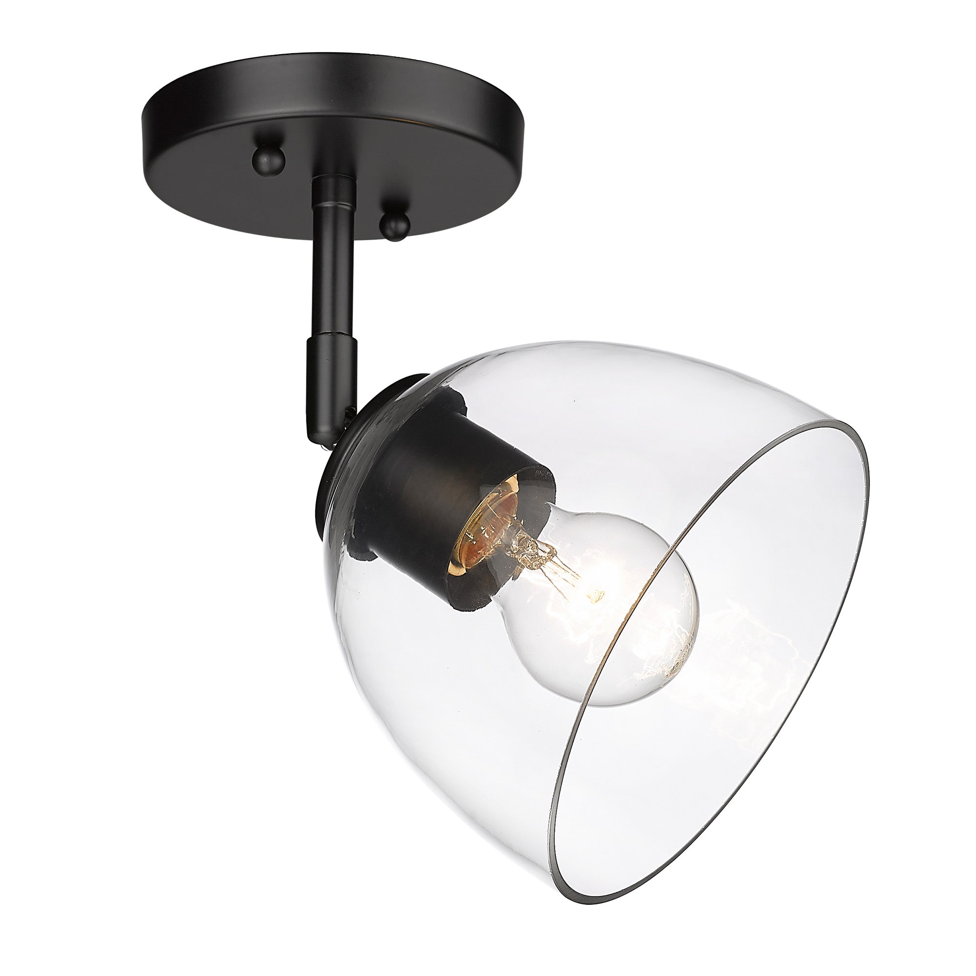 Golden Lighting Roxie 1-light Wall Sconce in Matte Black - - Golden Lighting