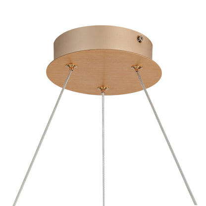 Spirale Integrated LED 24in Chandelier in Anodized Gold