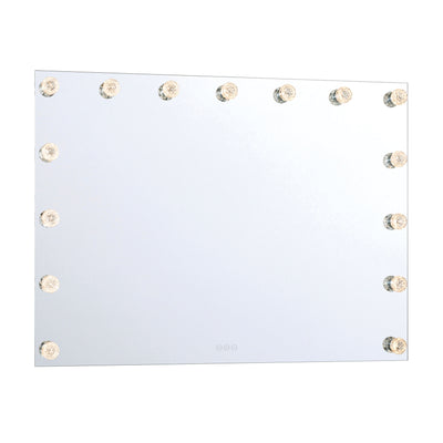 Starlight LED 48in Mirror with Glass Rose Diffusers
