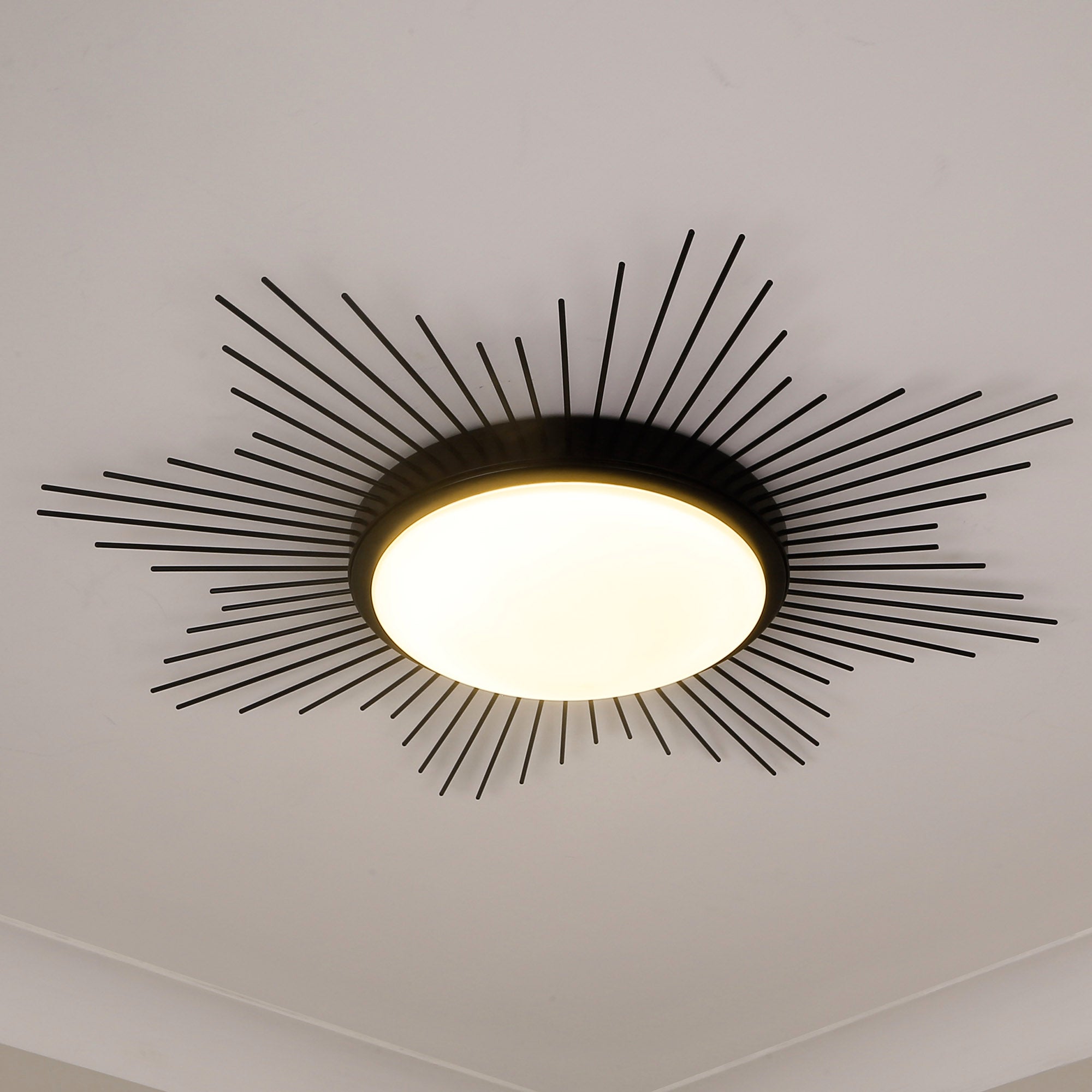 Kieran Integrated LED 24in Flush Mount in Matte Black