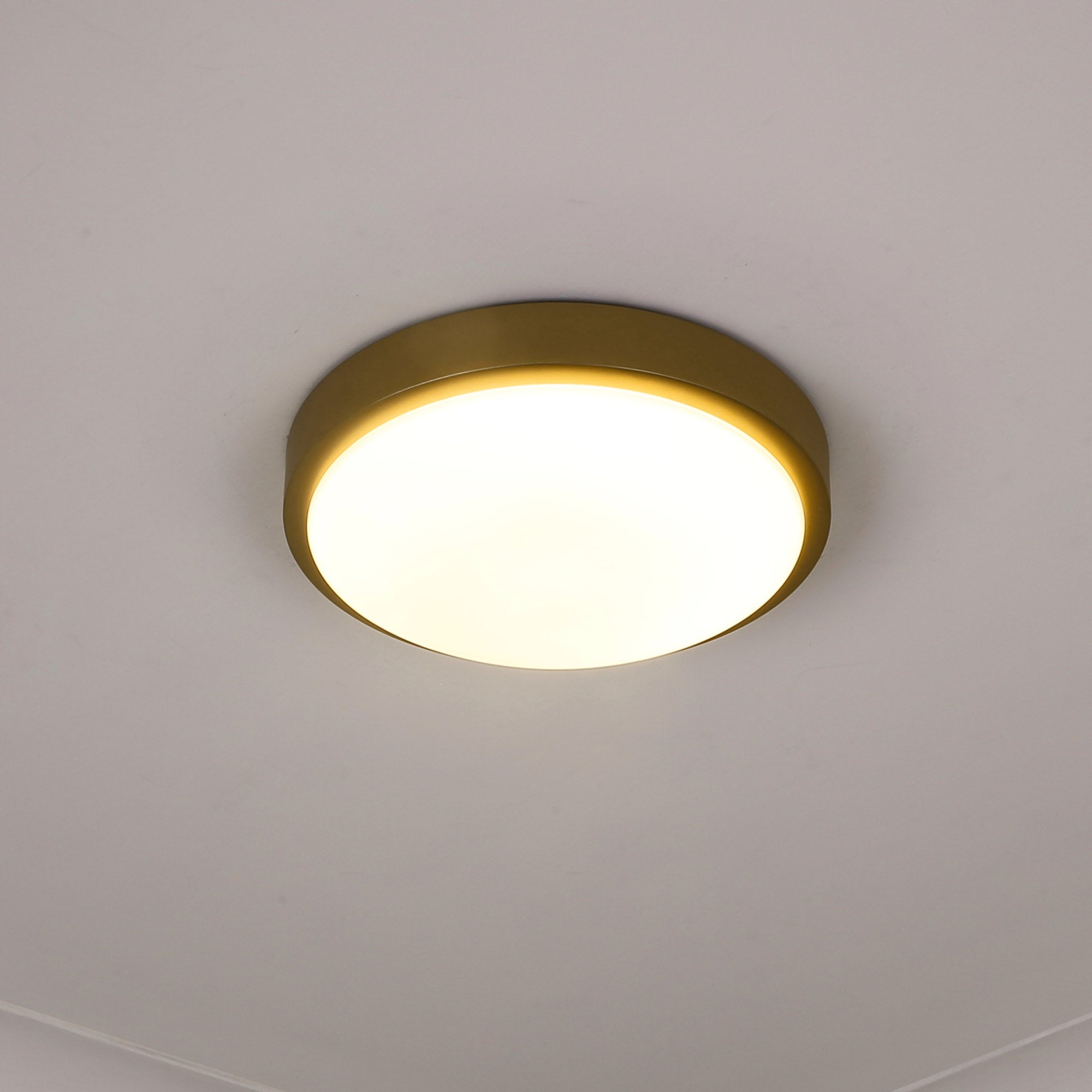 Golden Lighting Gabi Integrated LED 10in Flush Mount in Brushed Champagne Brass - - Golden Lighting