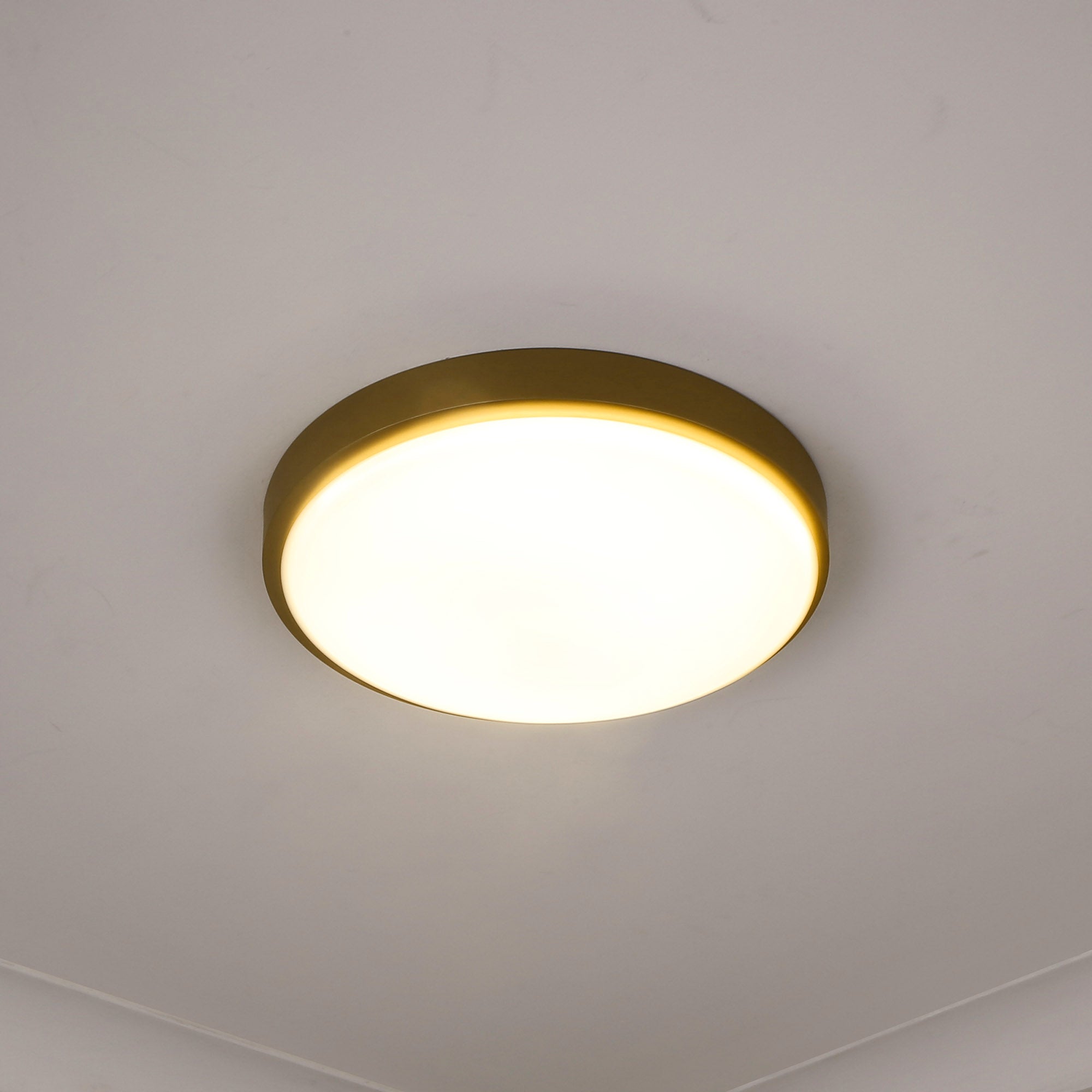 Golden Lighting Gabi Integrated LED 12in Flush Mount in Brushed Champagne Brass - - Golden Lighting