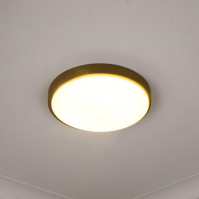 Golden Lighting Gabi Integrated LED 12in Flush Mount in Brushed Champagne Brass - - Golden Lighting