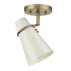 Reeva 1 Light Semi-Flush -  - Golden Lighting
